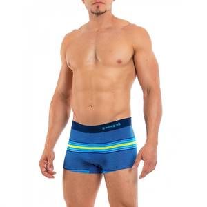 NEW PAPI beachside stripes brazilian trunk in barrief reef